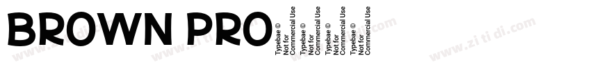 BROWN PRO字体转换